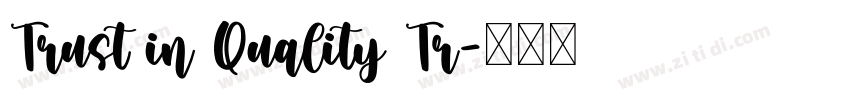 Trust in Quality Tr字体转换